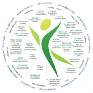 Crédit: Biogemm.fr